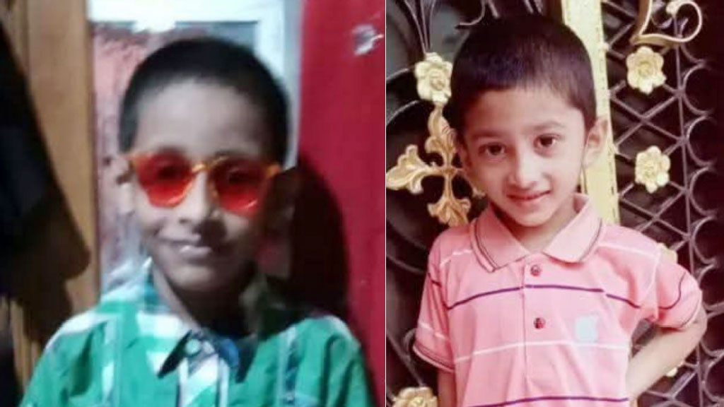 ডোবায় পড়ে আম পাড়তে গিয়ে ২ শিশুর মৃত্যু