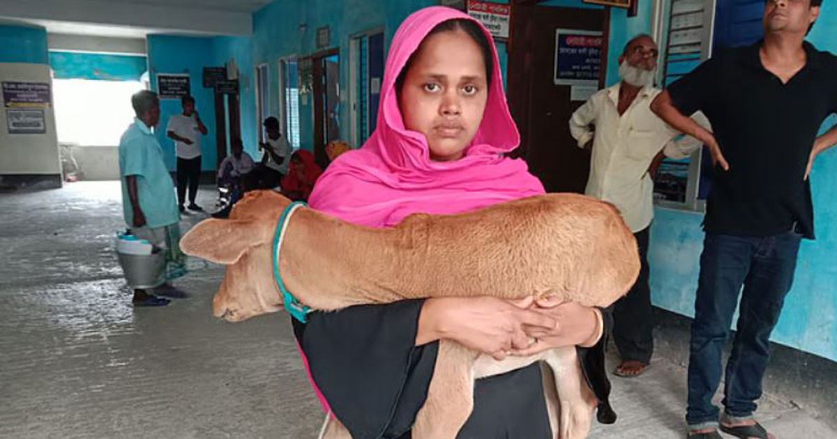 বহিষ্কার করা হয়েছে গরু নিয়ে যাওয়া সেই স্বেচ্ছাসেবক দল নেতাকে