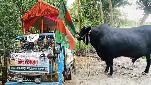 খালেদা জিয়া গ্রহণ করেননি ভক্ত সোহাগের ‘কালো মানিক’