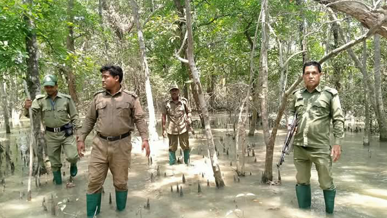 ঈদের ছুটি বাতিল বন কর্মীদের, নিরাপত্তা জোরদার সুন্দরবনে