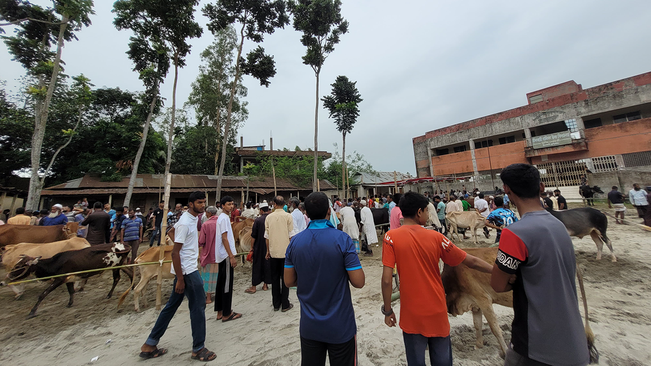 তলব করেছে সেনাবাহিনী স্কুলমাঠে হাট বসানো সেই বিএনপি নেত্রীকে